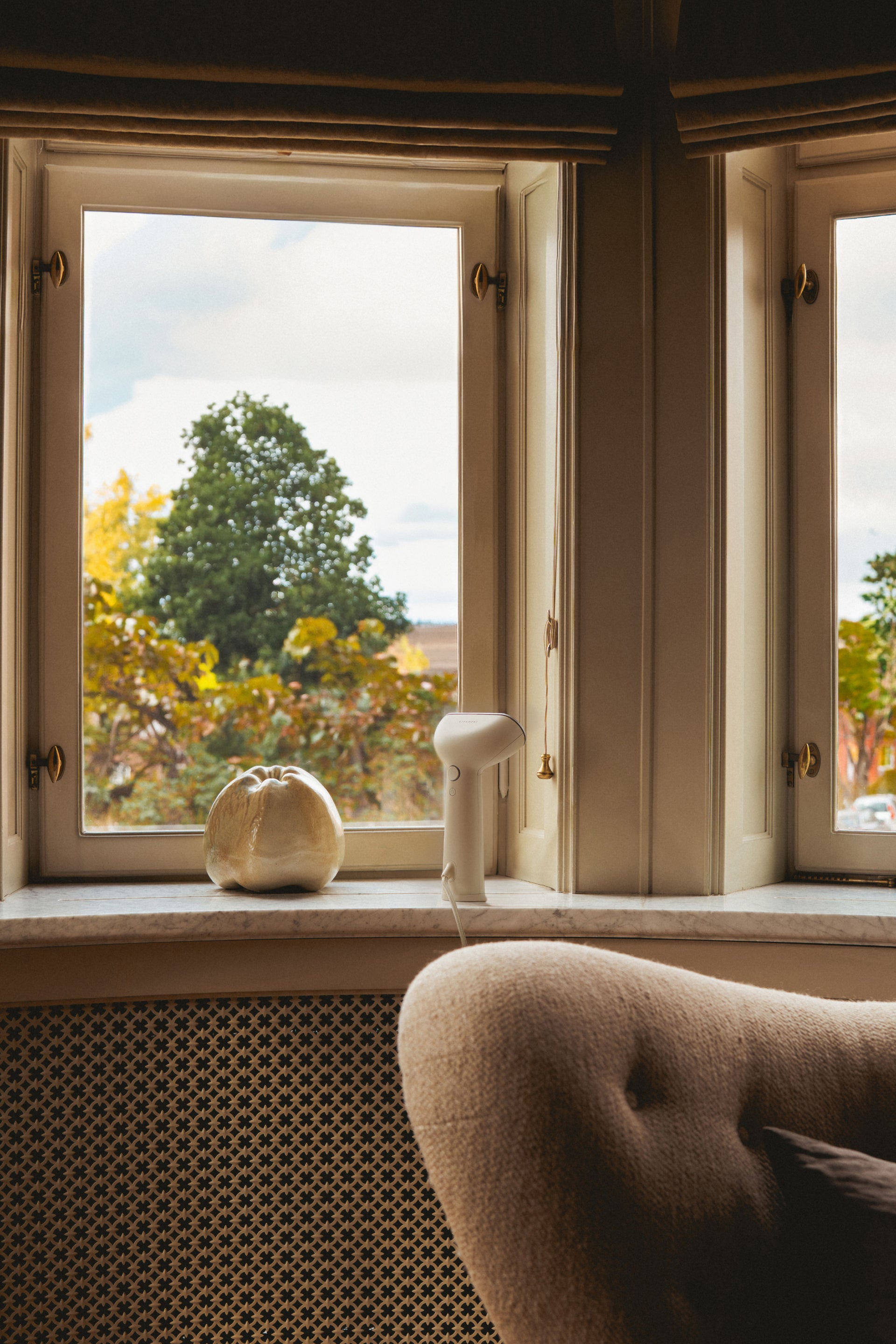 Window with view of trees and a chair in front and a Sand coloured handheld steamer placed by the window