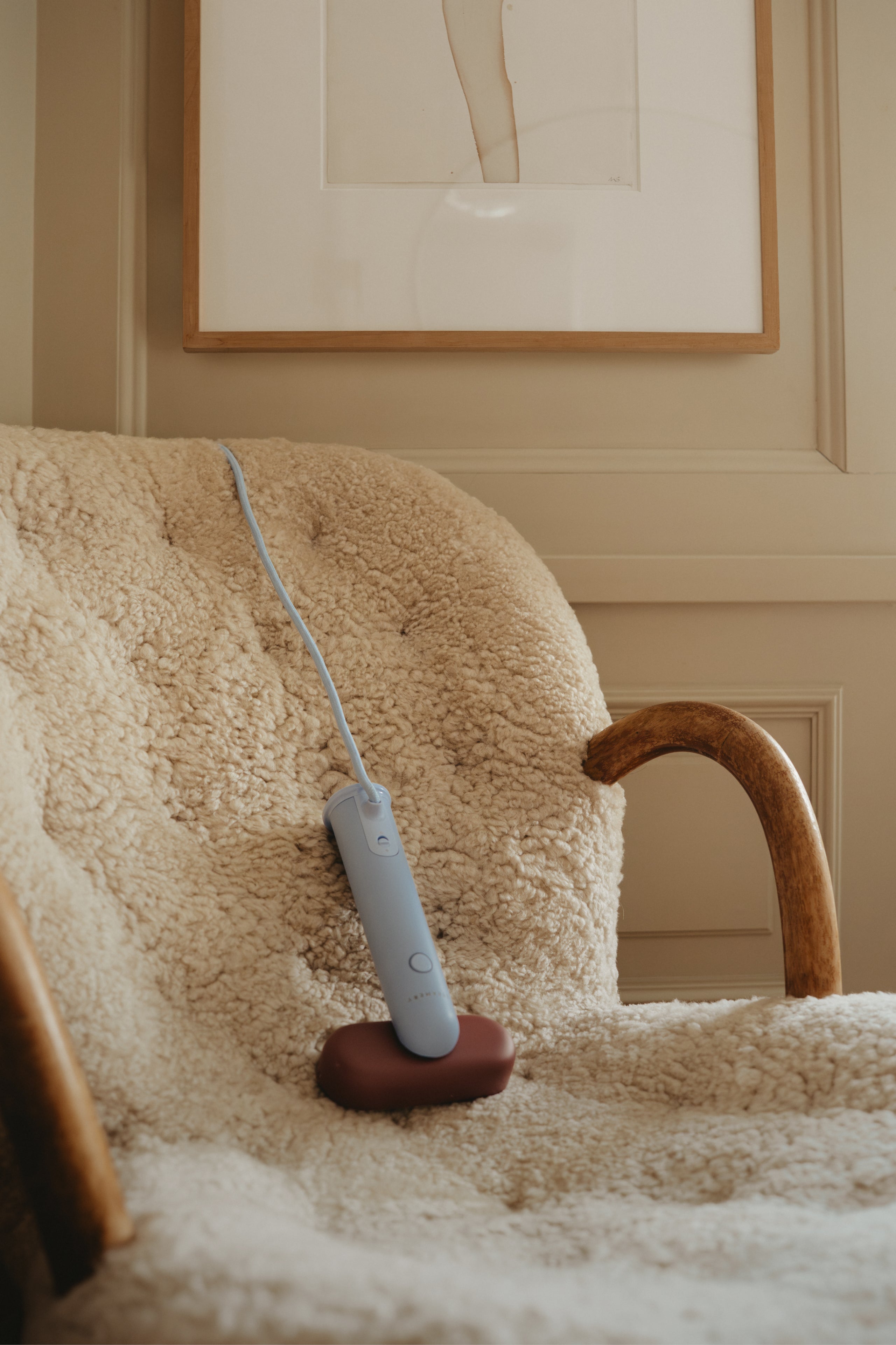 Cirrus 3 Handheld Steamer - Rose US – Steamery US